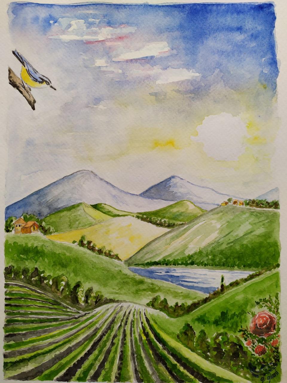 PAESAGGI RURALI, VOCAZIONALITA’ DELLE TERRE, ECCELLENZA DELLE PRODUZIONI AGRICOLE – RURAL LANDSCAPES, LAND SUITABILITY, EXCELLENCE OF AGRICULTURAL PRODUCTION